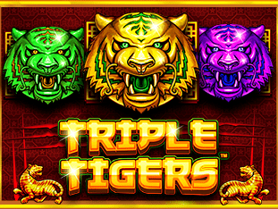 Triple Tigers